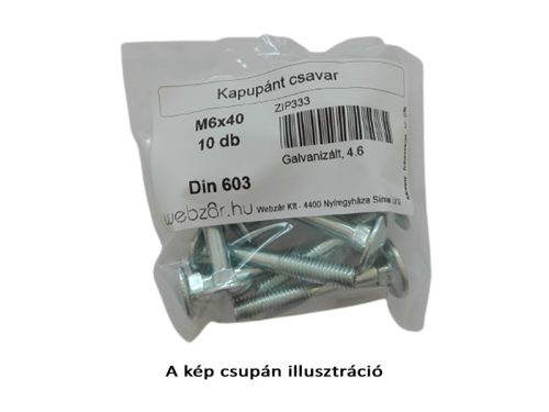 Kapupánt csavar DIN 603, 4.8 galvanikusan horganyzott, M8x80 (10 db)